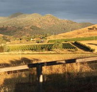 Optimiste Wines - Accommodation Yamba