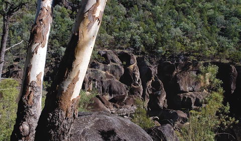 Macintyre Falls Lookout - Accommodation Yamba 3