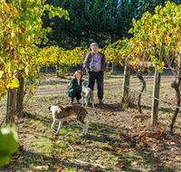 Little River Wines of Taggerty - Accommodation Yamba