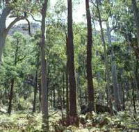 Cathedral Range State Park - Accommodation Yamba