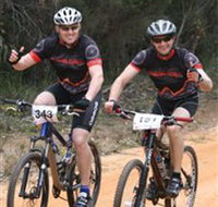Trailhead Bike Co. - Accommodation Yamba