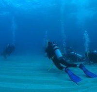 Man and Wife Rocks Dive Site - Accommodation Yamba