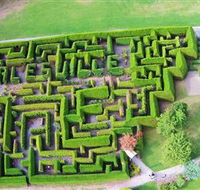 Hedgend Maze and Healesville Laser Sport - Accommodation Yamba