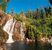 Steavenson Falls Marysville - Accommodation Yamba