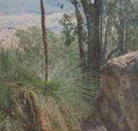Mount Lawson State Park - Accommodation Yamba