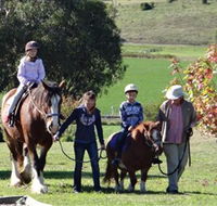 Bathurst Farm Experience - Accommodation Yamba