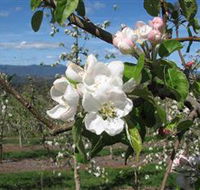 Mouat's Farm - Accommodation Yamba