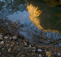 Abercrombie Karst Conservation Reserve - Accommodation Yamba