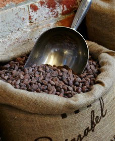 Bright Chocolate - Accommodation Yamba 5