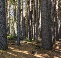 Sugarpine Walk - Accommodation Yamba