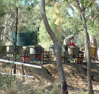 7 Oaks Sapphire Fossicking - Accommodation Yamba