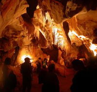 Careys Cave - Accommodation Yamba
