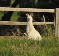 Panorama Garden Estate - Accommodation Yamba