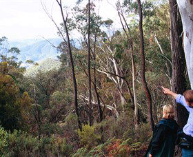 Hume And Hovell Walking Track - Accommodation Yamba 5