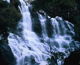 Hume And Hovell Walking Track - Accommodation Yamba 4