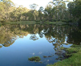 Hume And Hovell Walking Track - Accommodation Yamba 6