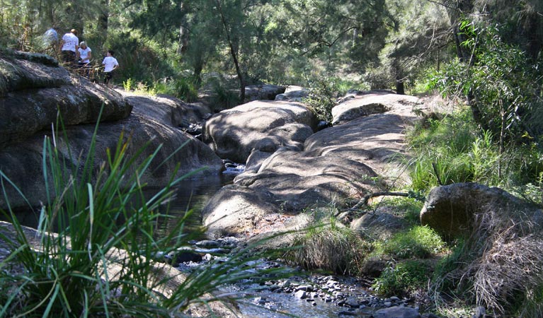 Dry Creek NSW Accommodation Yamba