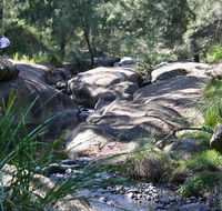 Towarri National Park - Accommodation Yamba