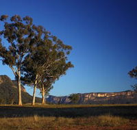 Capertee Valley Bird Trail - Accommodation Yamba