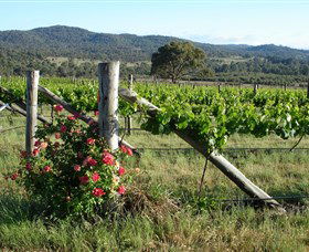  Accommodation Yamba