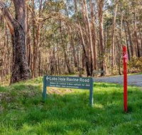 Lobs Hole Ravine 4WD Trail - Accommodation Yamba
