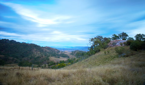 Burning Mountain Nature Reserve - Accommodation Yamba 0
