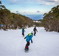 Mt Baw Baw Alpine Resort - Accommodation Yamba