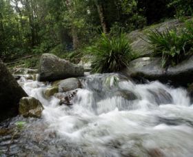 Washpool National Park - Accommodation Yamba 0