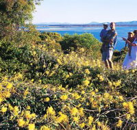 Joseph Banks Conservation Park - Accommodation Yamba