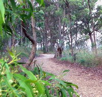 Mount Mutton Walking Trail - Accommodation Yamba