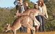 Boutique Tours Australia - thumb 2