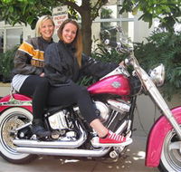 Wild Ride Harley and Motorcycle Tours - Accommodation Yamba