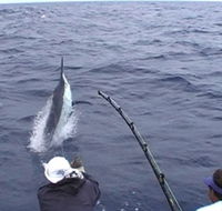 Amokura Charters - Accommodation Yamba