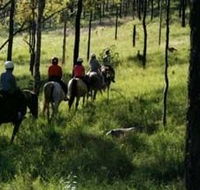 Hunter Valley Horse Riding and Adventures - Accommodation Yamba