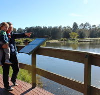 Hunter Wetlands Centre Australia - Accommodation Yamba