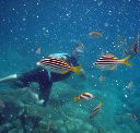 Imagine Cruises - Accommodation Yamba
