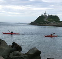 Newcastle Kayak Tours - Accommodation Yamba