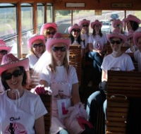 Newcastles Famous Tram - Accommodation Yamba