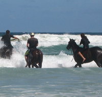 Pegasus Park Equestrian Centre - Accommodation Yamba