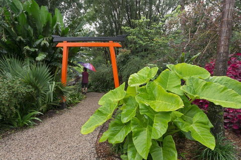 Crystal Castle & Shambhala Gardens - Accommodation Yamba 11