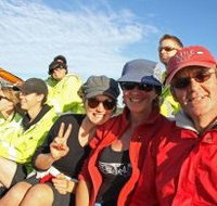 Byron Bay Whale Watching - Accommodation Yamba