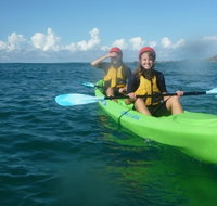 Cape Byron Kayaks - Accommodation Yamba
