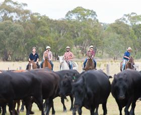 OutBackPackers - Accommodation Yamba 2