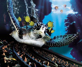 IMAX Theatre Sydney - Accommodation Yamba 0