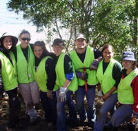 Conservation Volunteers Australia - Sydney - Accommodation Yamba
