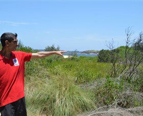 Kadoo Tours - Accommodation Yamba 0