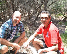 Kadoo Tours - Accommodation Yamba 2