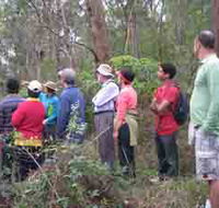 Boronia Tours - Accommodation Yamba
