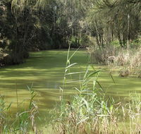 Second Ponds Creek walk - Accommodation Yamba