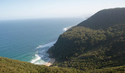 Palm Jungle Loop Track - Accommodation Yamba 1